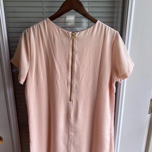 Shift and Shout Blush Pink Shift Dress